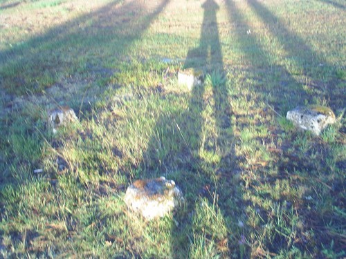 L'ombre entre les pierres.JPG