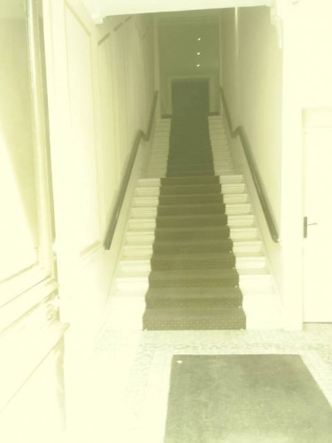 L'escalier au tapis rouge.JPG