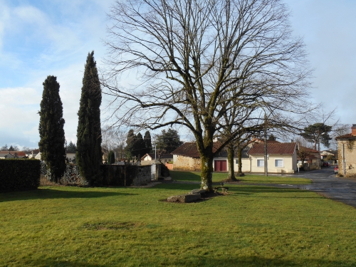 Les arbres et le sanctuaire.JPG