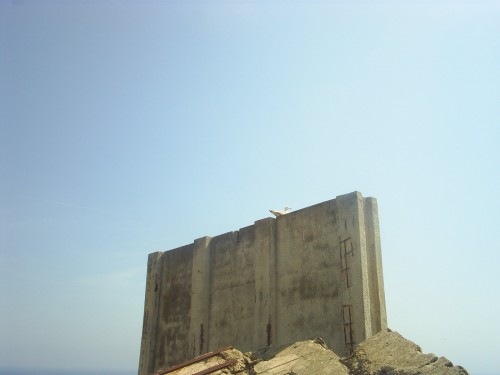 Mur de défense et goéland.JPG